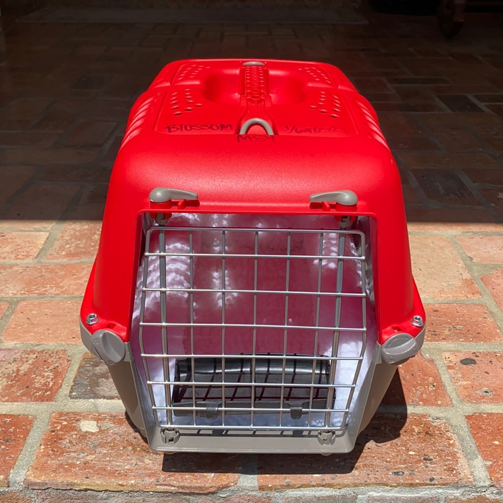 🐾Clean Small Pet Carrier, IATA Approved, Kit Included (Used 1x to transfer pet)